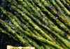 Grilled Asparagus Recipe