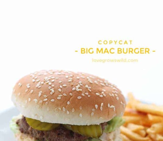 Big Mac Burger
