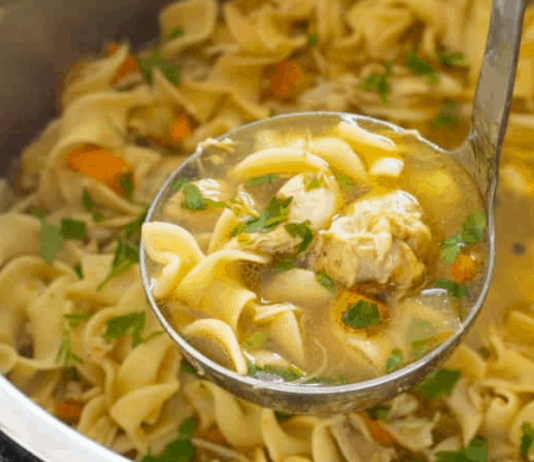 Homemade Instant Pot Chicken Noodle Soup