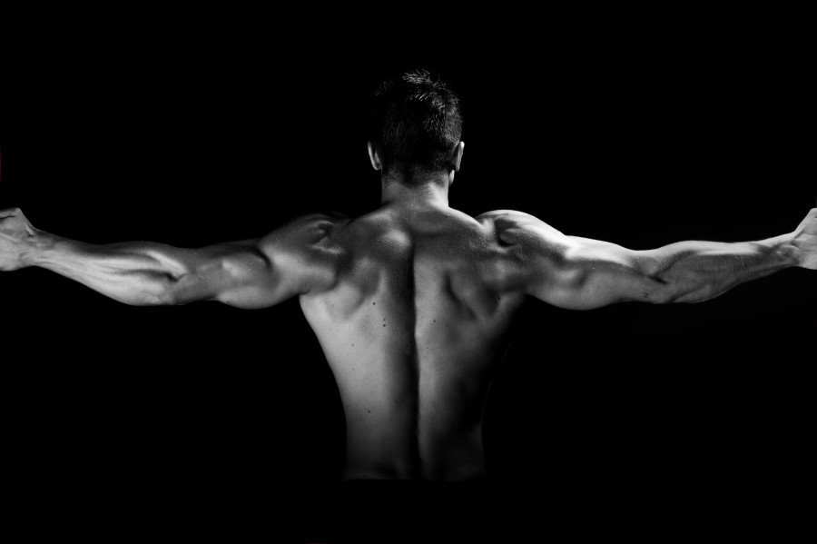 The Best Exercises For A Complete Back Workout - Detoxil